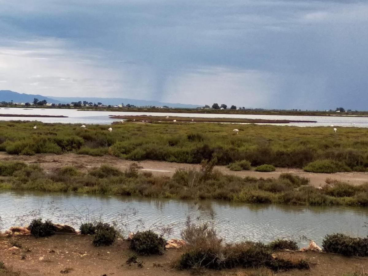 Apartamento Gelum Delta Del Ebro Sant Jaume d'Enveja Εξωτερικό φωτογραφία